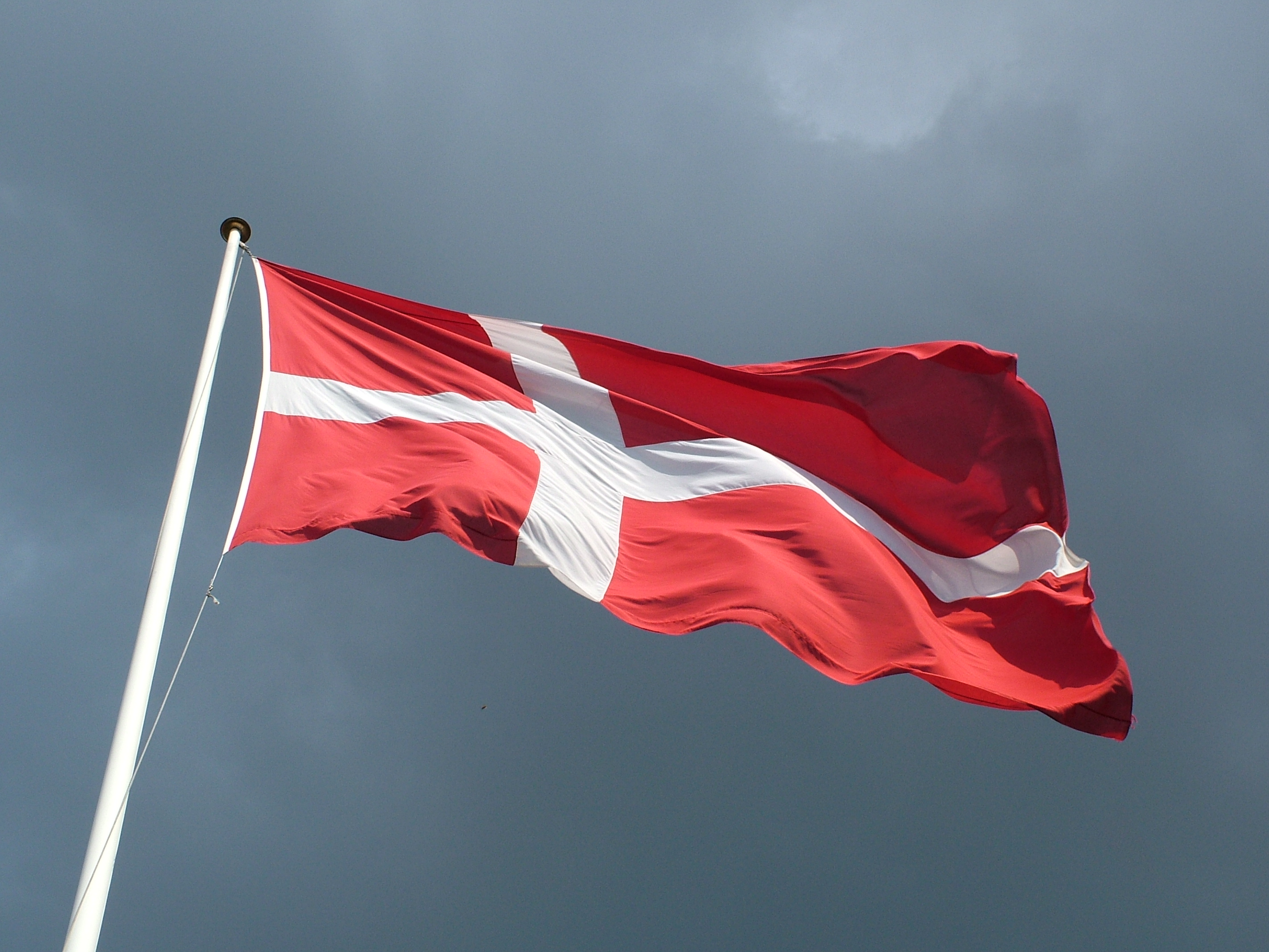 Теракт в Дании