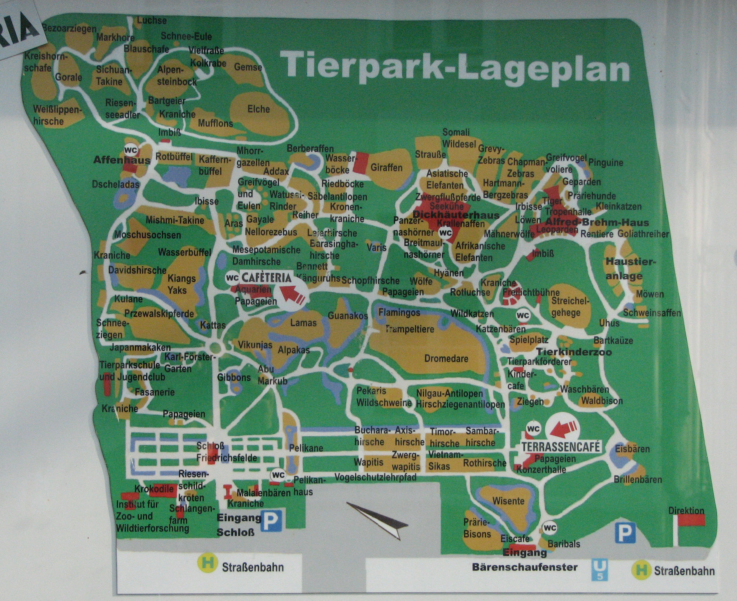 45+ Ist Der Zoologische Garten Gröser Als Der Tierpark Berlin, Der