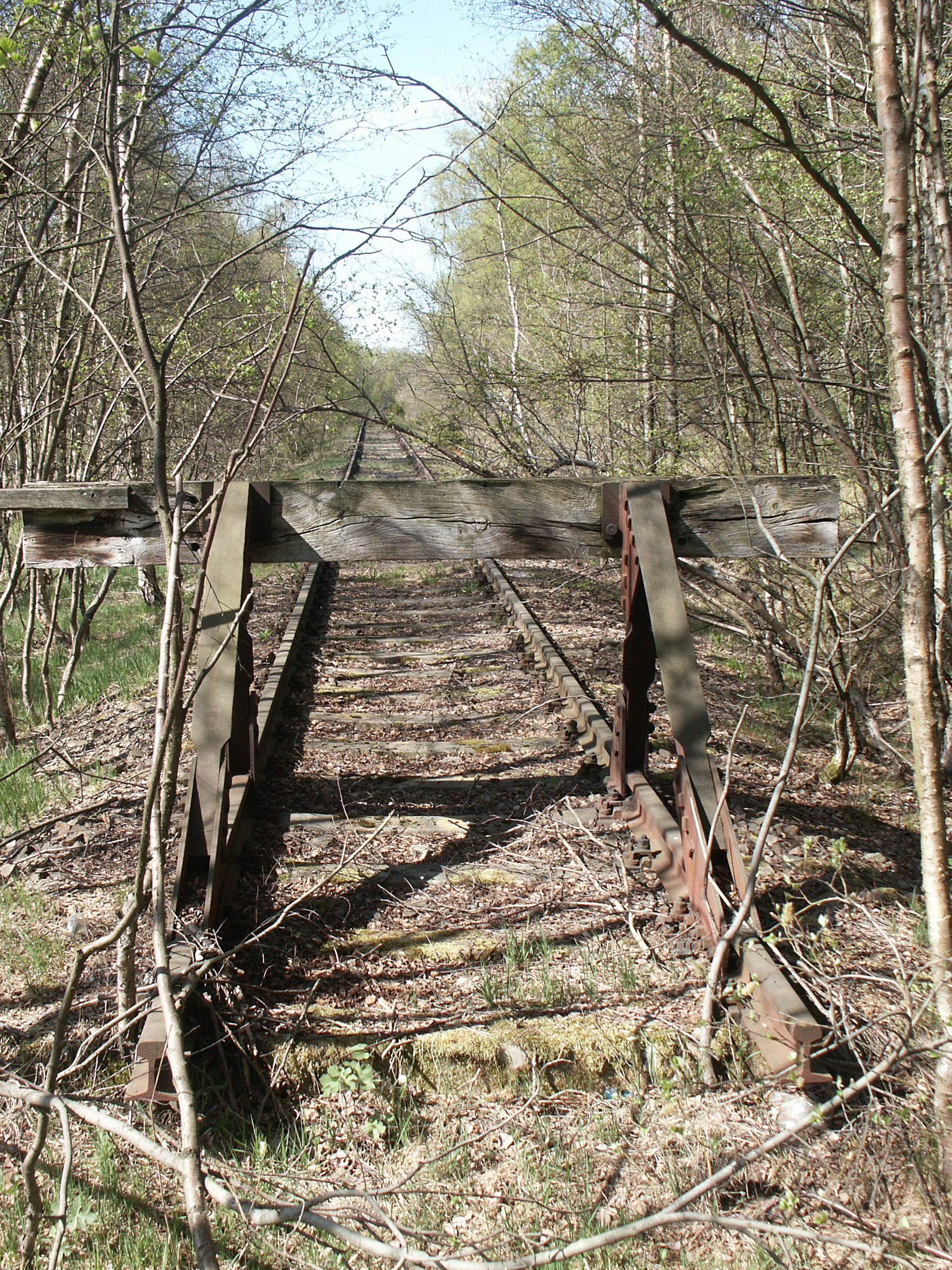 Bahn Selb Asch