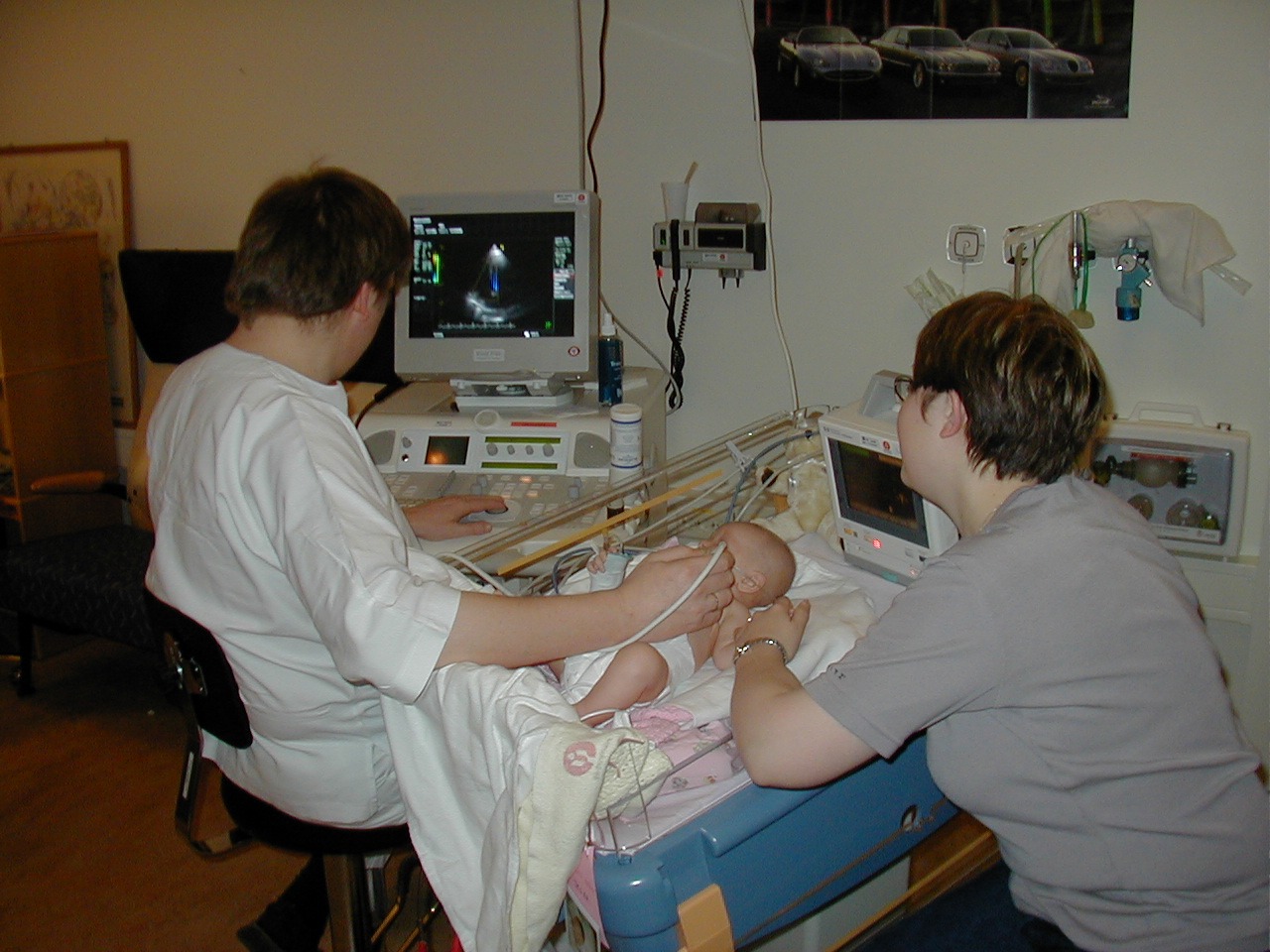 Schools That Offer Diagnostic Medical Sonography Programs