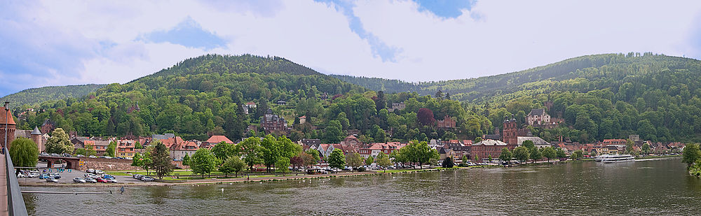 Panorama der Miltenberger Altstadt von der Brücke über den Main aus gesehen