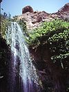En Gedi Waterfall.jpg