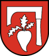 Wappen von Fügen