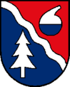 Wappen von Lenzing