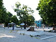 Fakaofo village square 20070716.jpg