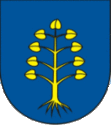 Wappen von Dolní Tošanovice