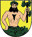 Wappen von Město Albrechtice