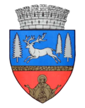 Wappen von Bacău