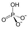 Hydrogenphosphation