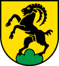 Wappen von Steinhof