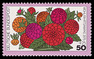 DBP 1976 906 Wohlfahrt Gartenblumen Zinnien.jpg