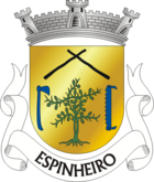 Wappen von Espinheiro