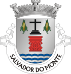Wappen von Salvador do Monte