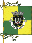 Flagge von Mora (Portugal)