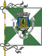 Flagge von Porto