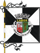 Flagge von São João da Madeira