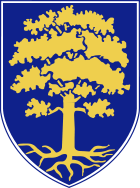 Wappen Waldsolms.svg