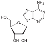 Strukturformel Adenosin