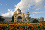 Royal exhibition building tulips straight.jpg