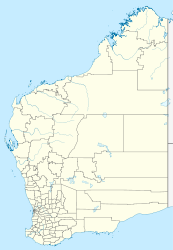 Baramundi Pool (Westaustralien)