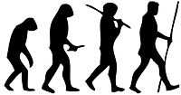 Human evolution scheme (2).jpg