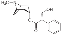 Struktur von Hyoscyamin