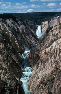 Der Grand Canyon of the Yellowstone mit den Lower Falls im Hintergrund