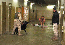 AbuGhraibDogs01.jpg