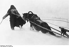 Deutscher Soldat mit Pferdeschlitten in hohem Schnee vor Moskau 1941