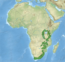 Topografische Karte Afrikas mit eingezeichneter Verbreitung des Geierraben