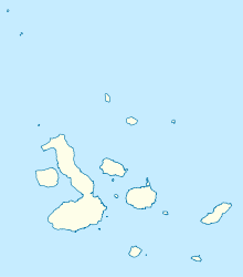 Seymour Norte (Galápagos-Inseln)