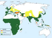 Tachybaptus ruficollis-map-distribution-de.svg