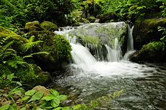 Wasserfall im Mtirala National Park