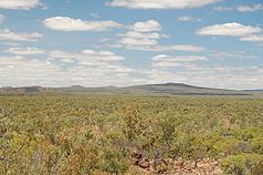 Aussicht auf Schildvulkane im Undara-Nationalpark