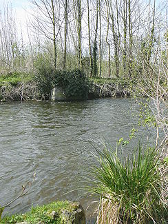 Der Fluss bei Ballancourt-sur-Essonne