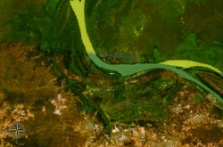 NASA-World-Wind-Satellitenbild:Der Gambia fließt hier im Bildausschnitt in westlicher und dann in nördlicher Richtung. Pangon Island liegt in dem Bogen nach Norden.