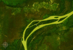 NASA World Wind-Satellitenbild.Der Gambia fließt hier im Bildausschnitt in nordöstlicher Richtung.