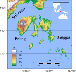 Topographische Karte von Peleng