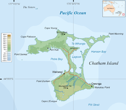 Karte von Chatham Island