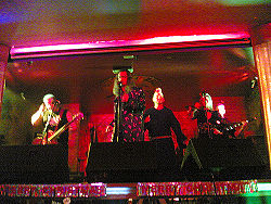 Doctor & the Medics live 2005