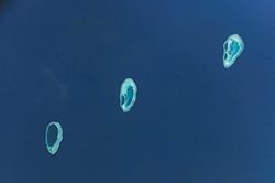 Satellitenbild der Atolle der Rowley Shoals (von rechts: Mermaid Reef,Clerke Reef und Imperieuse Reef)