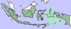 Karte von Molukken