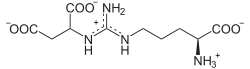 Argininosuccinat