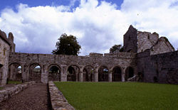 Boyle Abbey