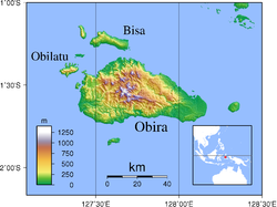 Topografie der Hauptinsel Obi