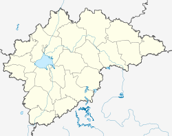 Staraja Russa (Oblast Nowgorod)