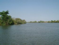 Der Gambia-Fluss in der Nähe der Baboon Islands