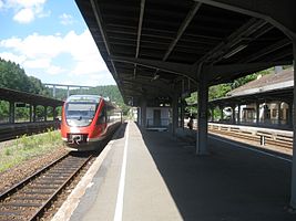 Zug im Bahnhof Pirmasens Nord