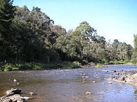 Yarra River at Warrandyte.jpg
