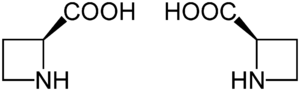 Struktur von Azetidin-2-carbonsäure